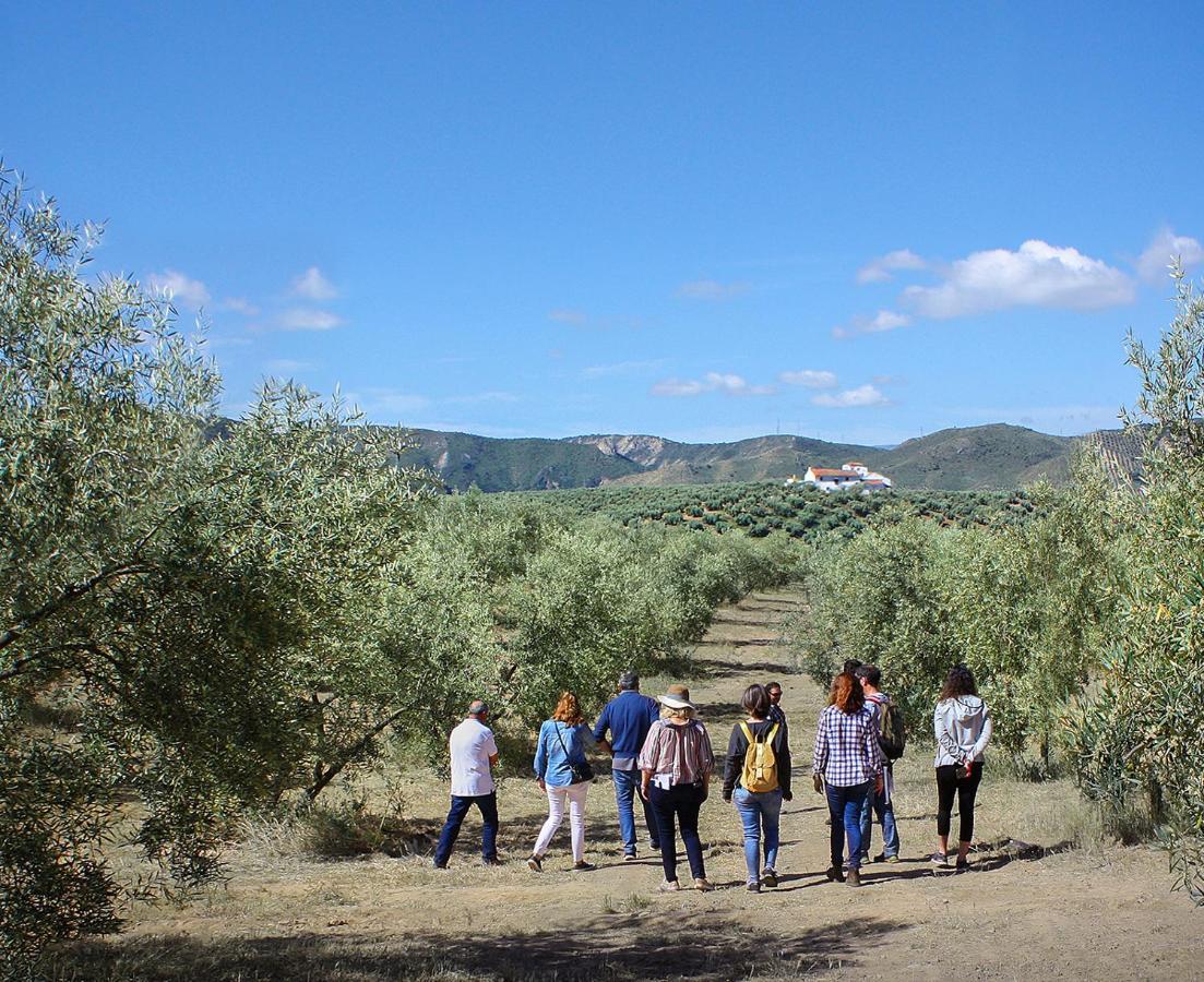 아르키도나 Cortijo Alzamigaja 빌라 외부 사진