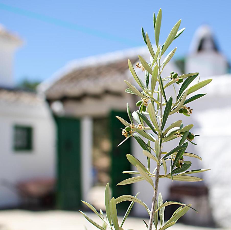 아르키도나 Cortijo Alzamigaja 빌라 외부 사진