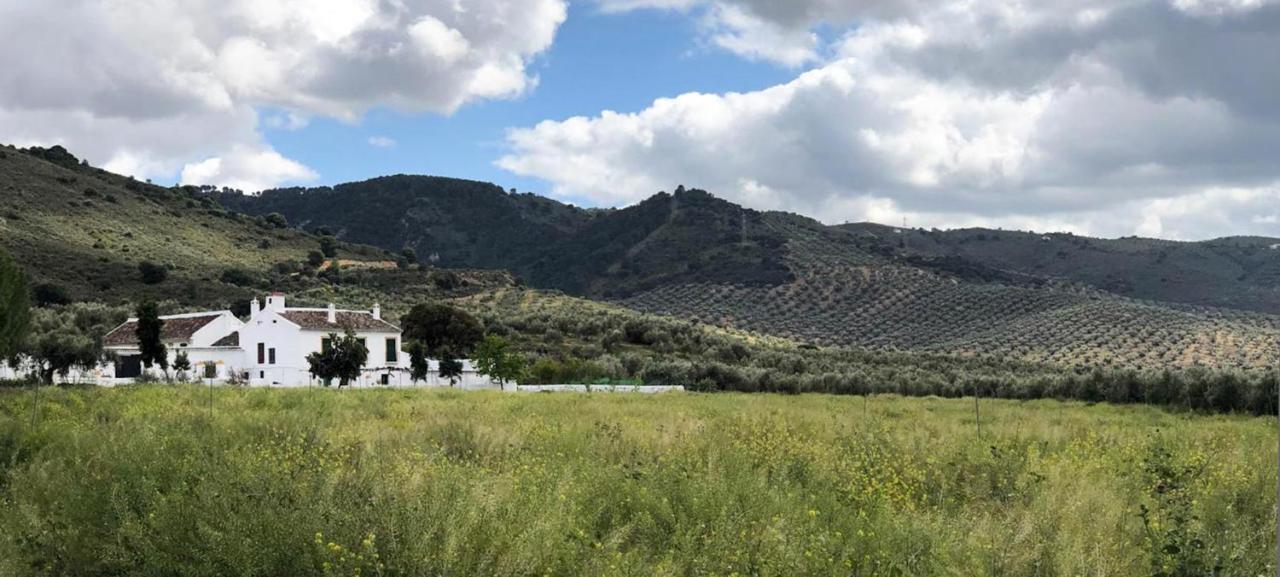 아르키도나 Cortijo Alzamigaja 빌라 외부 사진